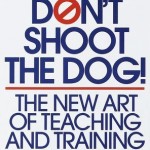 dont-shoot-dog