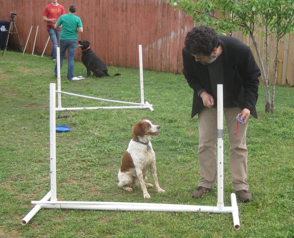 agility-training-jesus-and-ginger-cropped