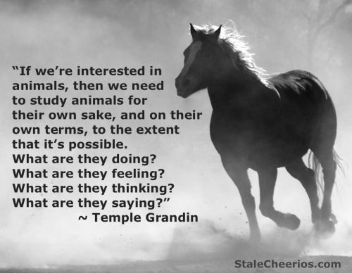 A quote from Temple Grandin's book, Animals in Translation