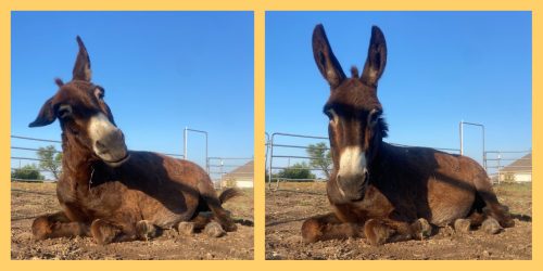 Processed with MOLDIV Processed with MOLDIV