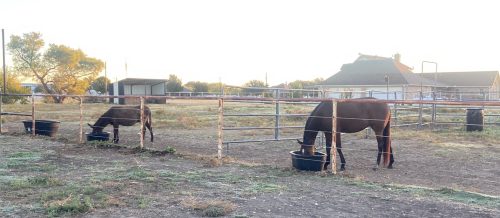 Screenshot Screenshot