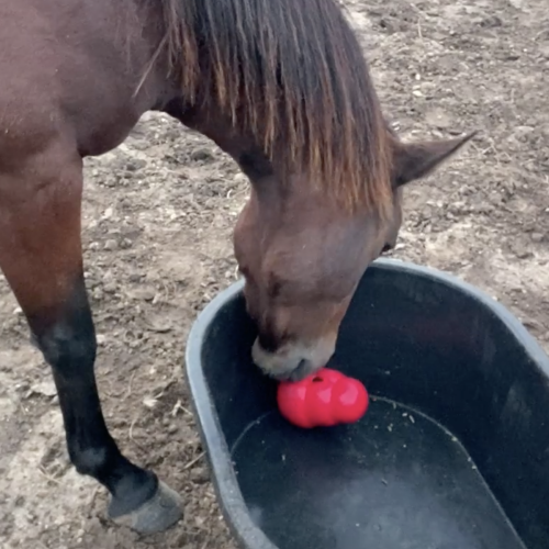 Screen Shot 2025-11-01 at 2.51.58 PM Screen Shot 2025-11-01 at 2.51.58 PM