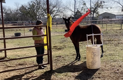 Screen Shot 2026-01-18 at 8.28.39 PM