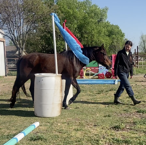 Screen Shot 2026-03-31 at 11.44.39 AM copy