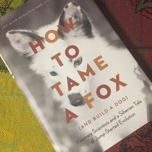 A picture of the cover of the book How to tame a fox by Lee Alan Dugatkin and Lyudmila Trut
