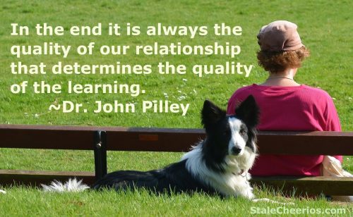 A quote from the book "Chaser" by Dr. John Pilley