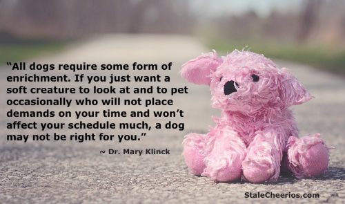 A quote about enrichment from Dr. Mary KlincK from the book "Decoding Your Dog"