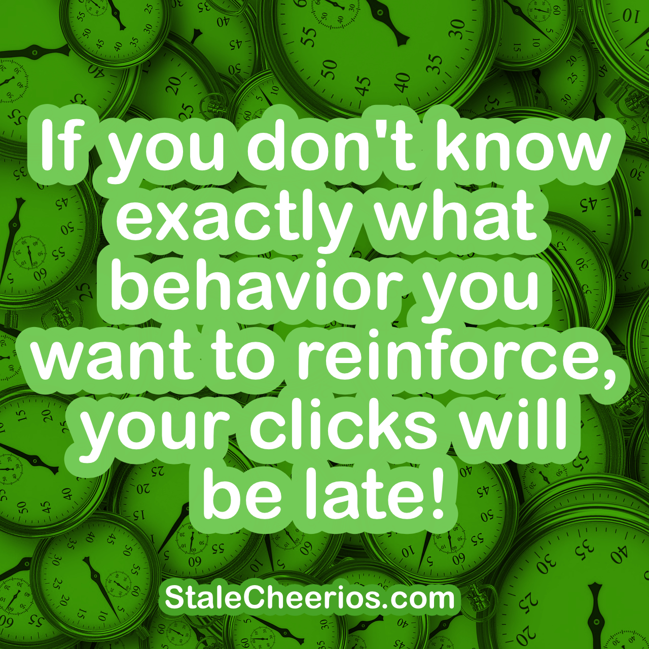 Image reads: If you don't know exactly what behavior you want to reinforce, your clicks will be late!