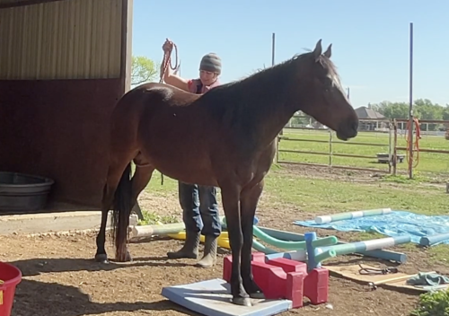 Screen Shot 2026-04-19 at 9.04.30 PM